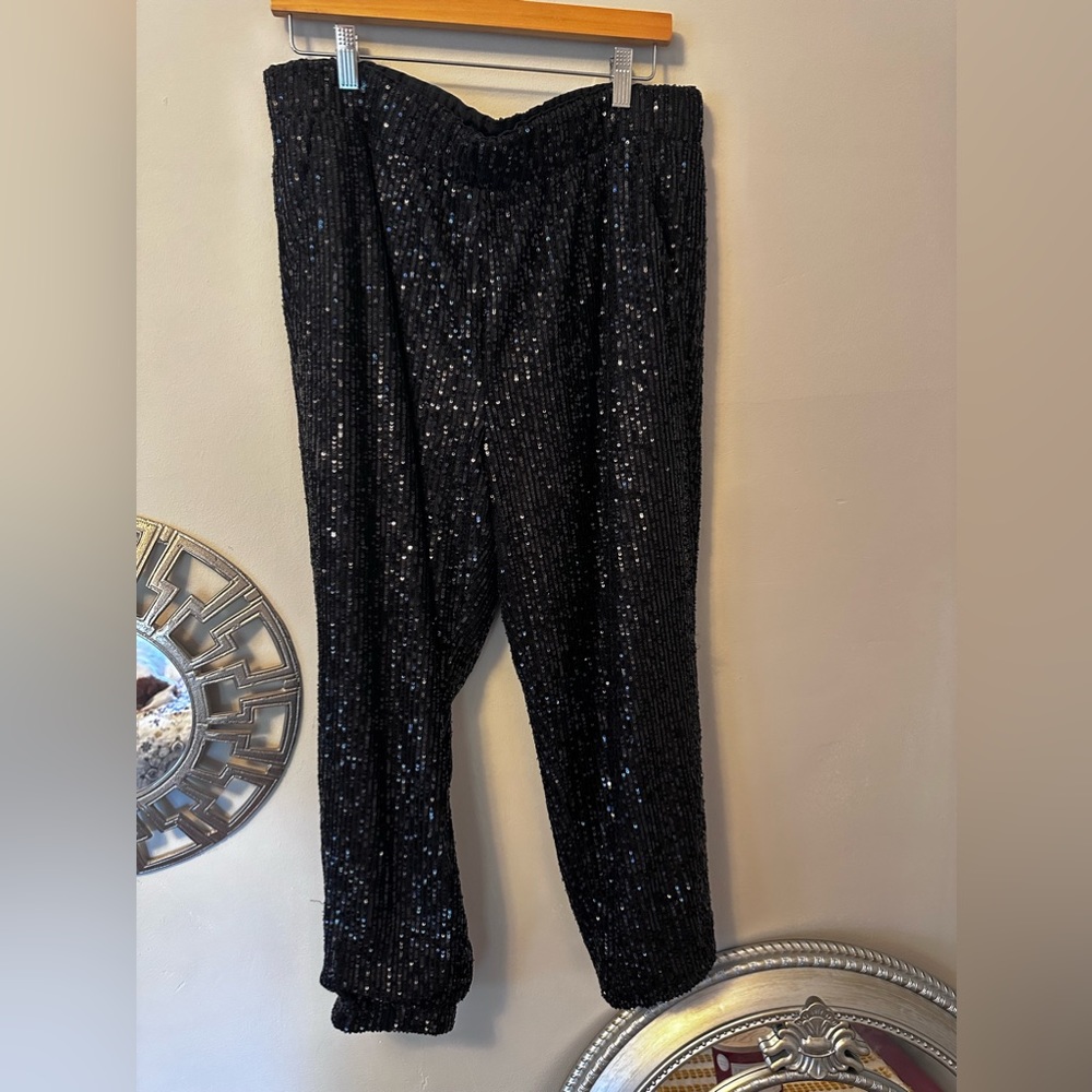 Loft sequin pants
